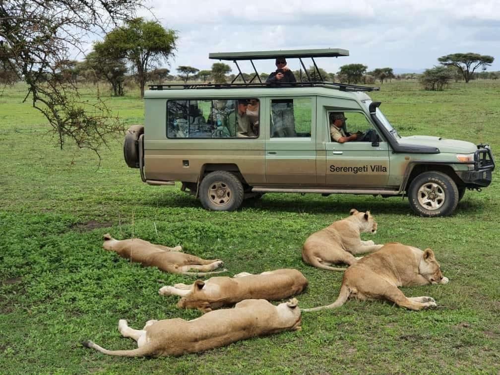 Serengeti Villa Arusha Kültér fotó